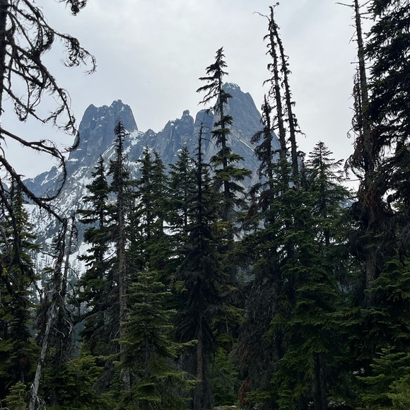 Hello and Closet Info :) - Picture 6 of 7